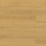 Clam Shell Oak